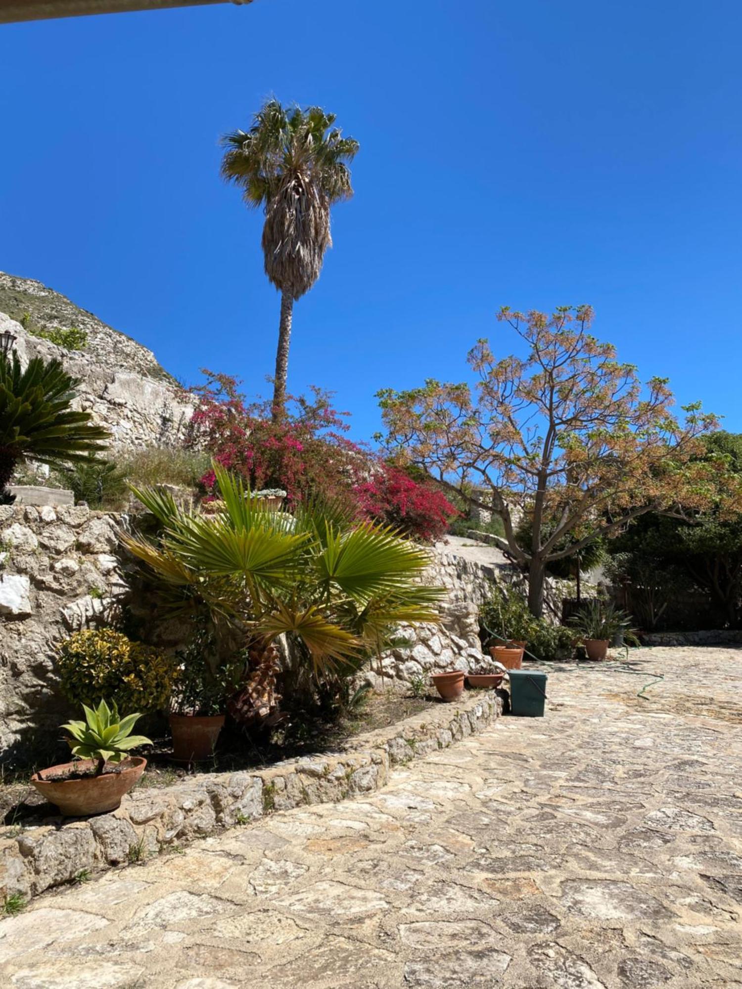 Antica Dimora Siciliana Hotel ซิกูเลียนา ภายนอก รูปภาพ